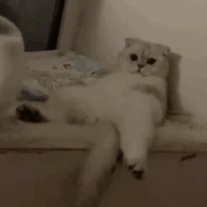 偷拍美女毛茸茸尿尿视频
